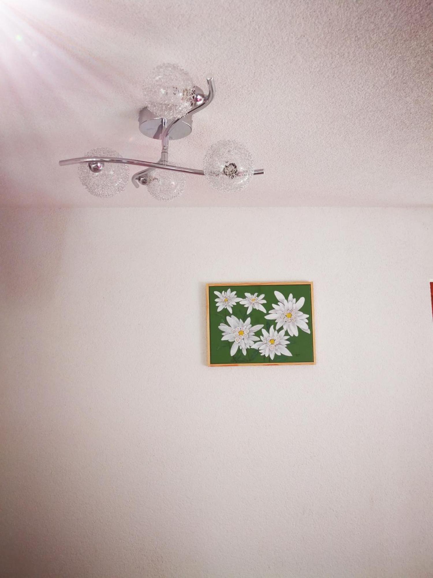 Hotel Ekoturizem Vizencar Cerklje na Gorenjskem Esterno foto